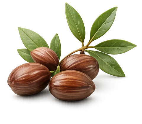 Jojoba