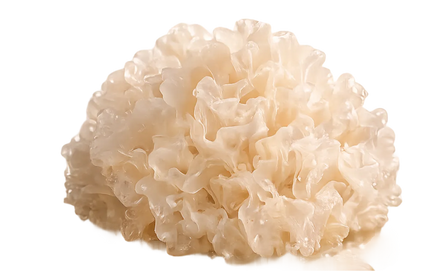 Tremella