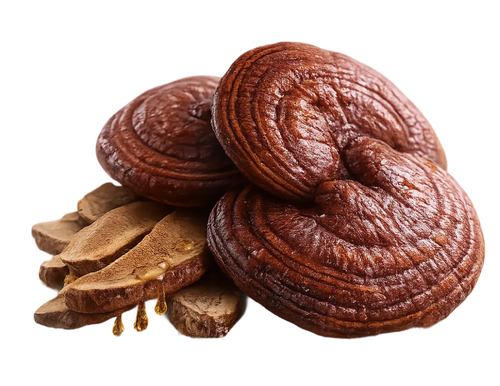 Reishi