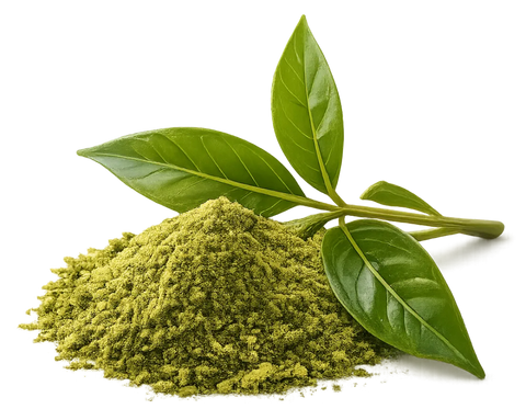 Té verde